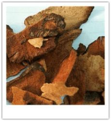 Thổ phục linh – BS Nguyễn Đức Kiệt