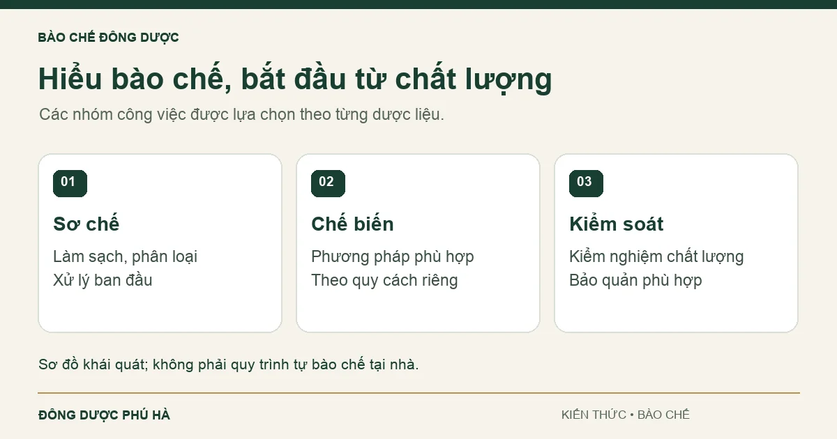 Bào chế Đông dược là gì? Nguyên tắc và phương pháp