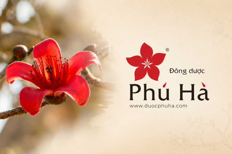 Vì sao Đông dược Phú Hà chọn hoa gạo làm biểu tượng thương hiệu? Vì sao Đông dược Phú Hà chọn hoa gạo làm biểu tượng thương hiệu?