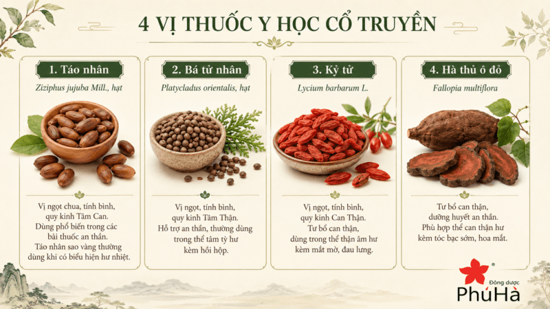 Tâm tỳ hư và mất ngủ: Dấu hiệu nhận biết và hướng hỗ trợ cải thiện theo Đông y