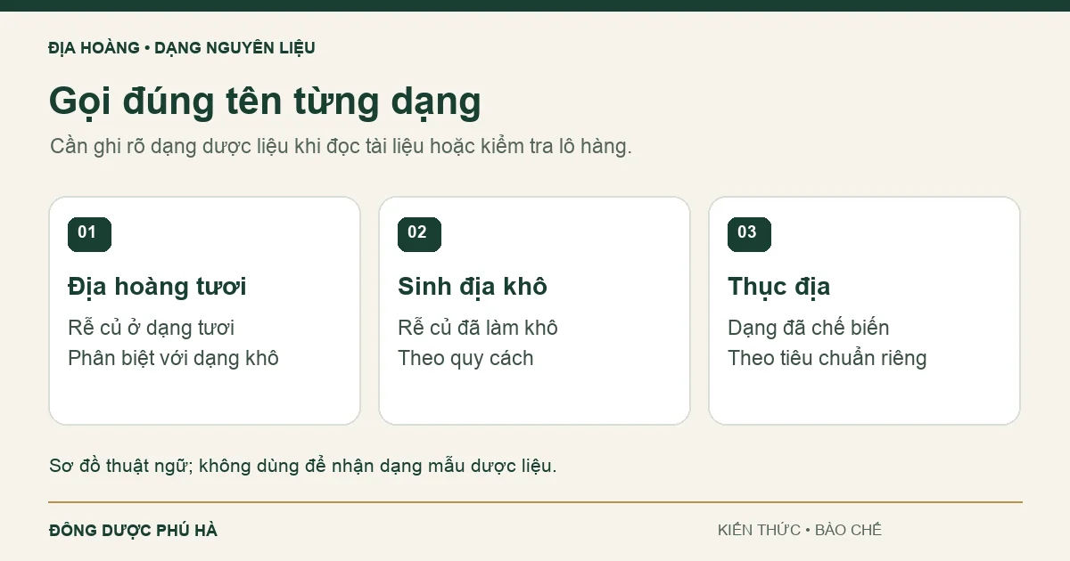 Sơ đồ phân biệt Địa hoàng tươi, Sinh địa khô và Thục địa