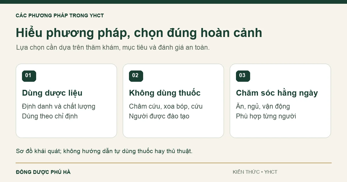 Các phương pháp điều trị trong Y học cổ truyền: Tổng quan Các phương pháp điều trị trong Y học cổ truyền: Tổng quan